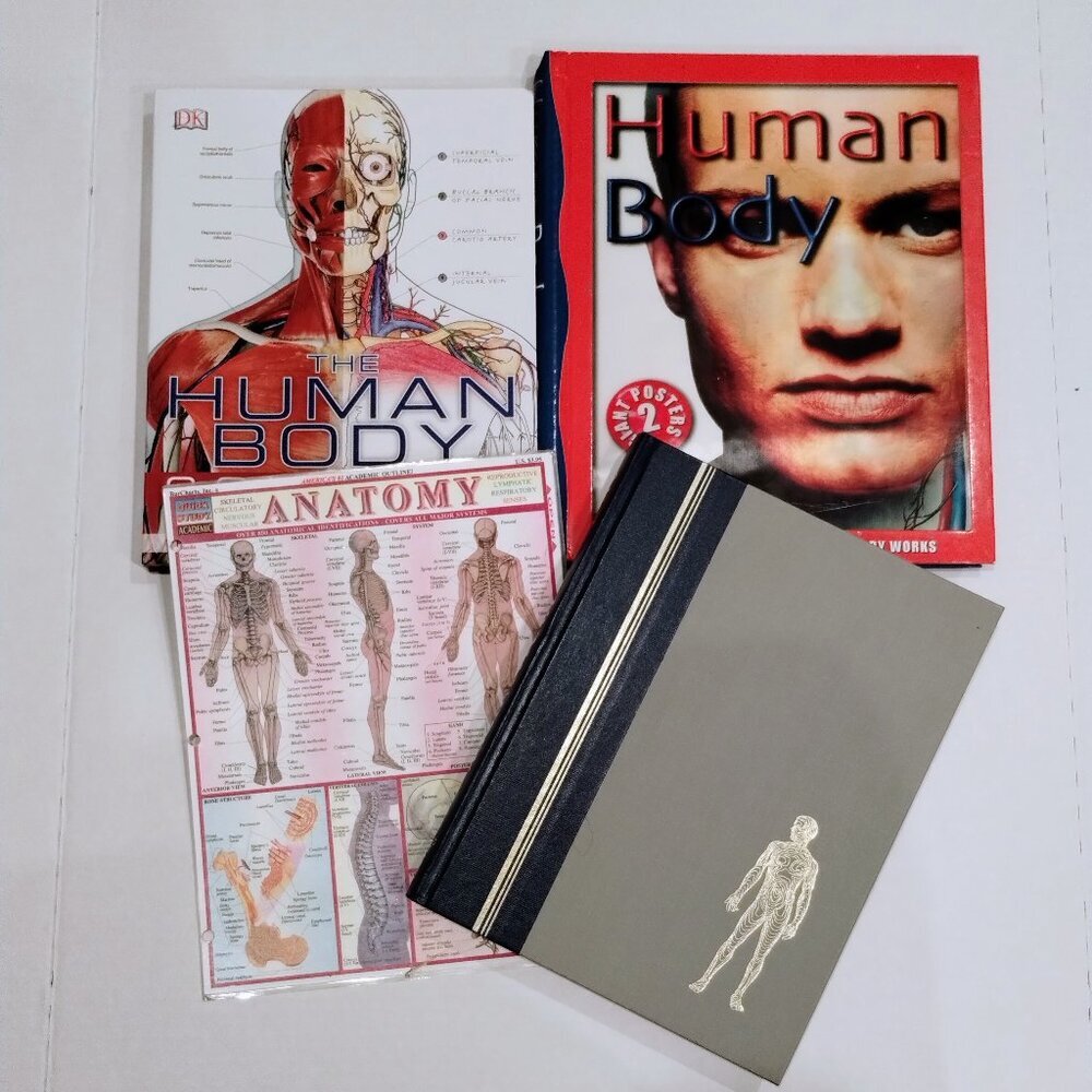 5th Grade The Human Body Educational Books and Activities Book Bundle